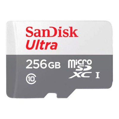 CARTAO MICRO SD 256GB...