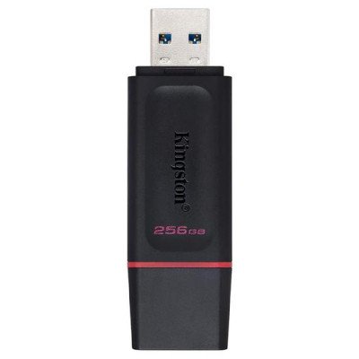 PENDRIVE 256GB KINGSTON DTX...